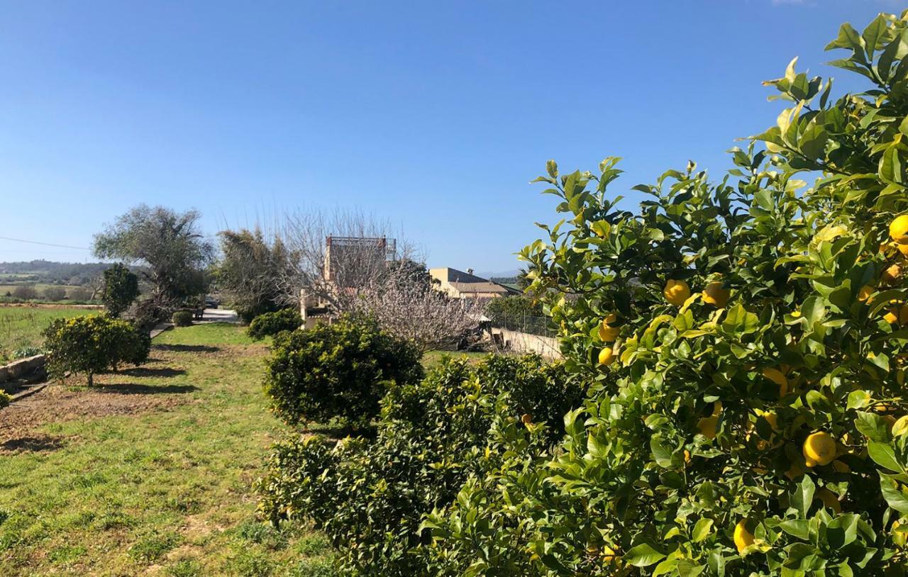Son Roig ,Beautiful Place In The Heart Of Mallorca -Etv 9979 María de la Salud Extérieur photo